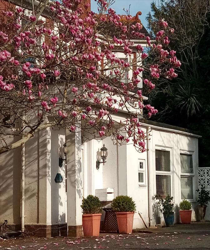 Aveland Court Care Home - Bliss Care